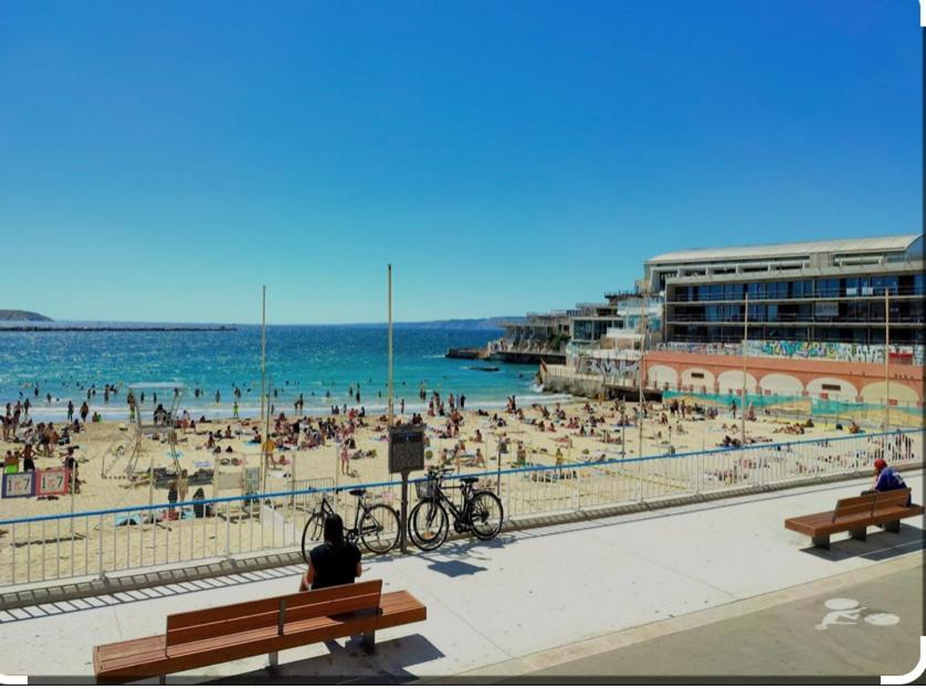 Studio Toit Terrasse Vieux Port Marseille Ngoại thất bức ảnh